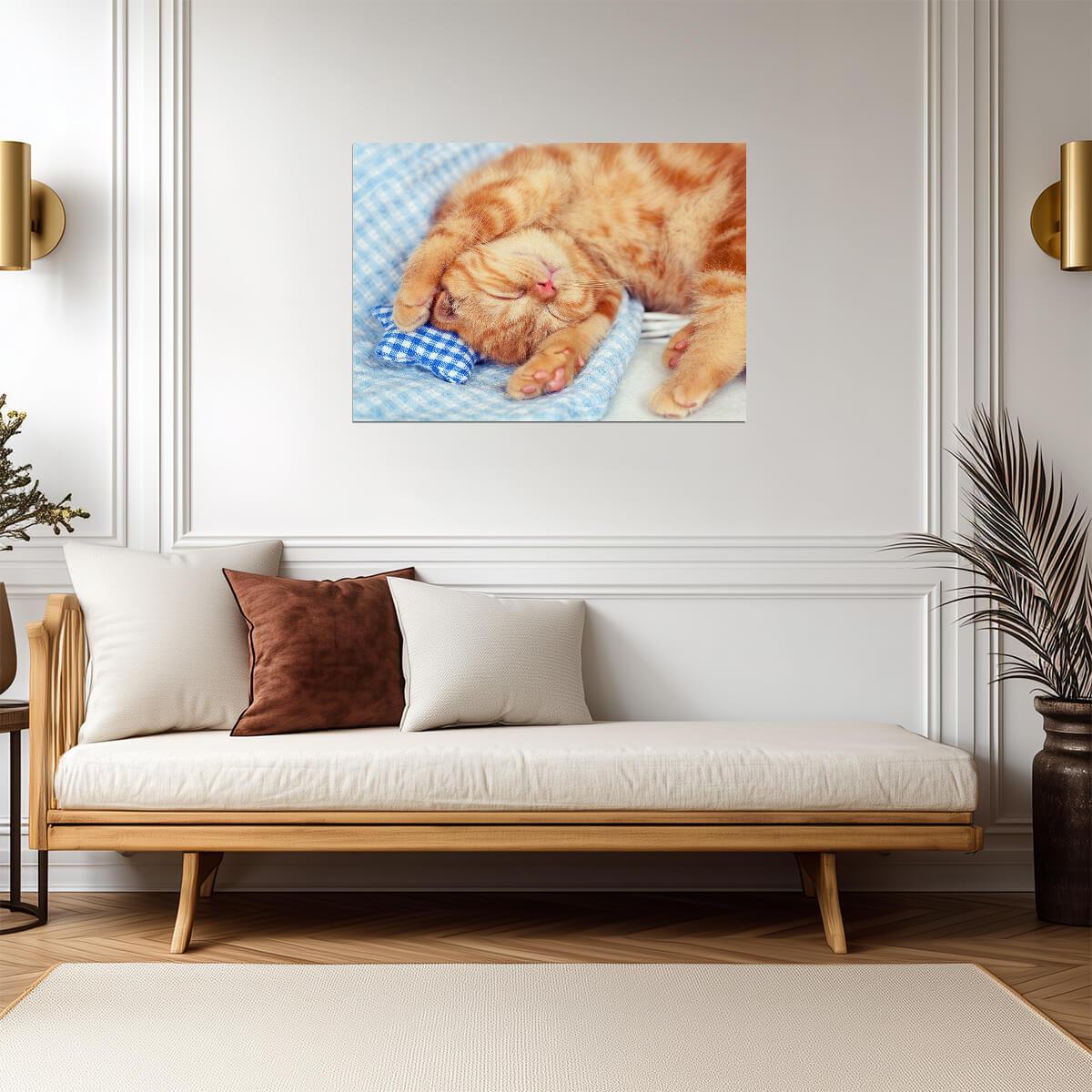 Sleeping Orange Cat | Cozy Pet Photography Poster | Cute Animal Wall Art - Photography Poster