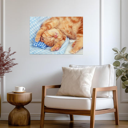 Sleeping Orange Cat | Cozy Pet Photography Poster | Cute Animal Wall Art - Photography Poster