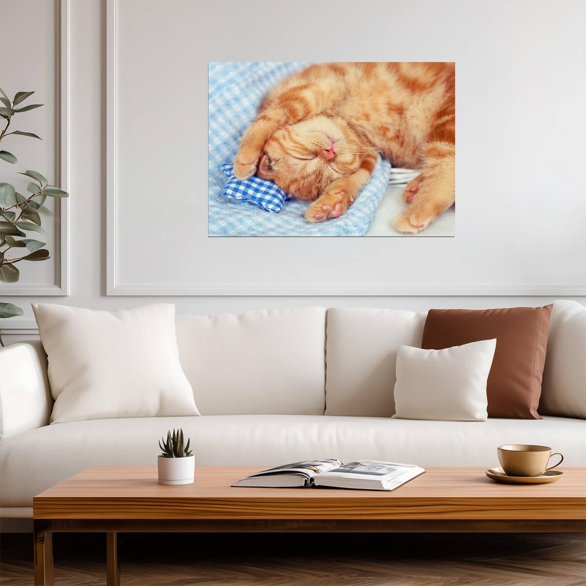 Sleeping Orange Cat | Cozy Pet Photography Poster | Cute Animal Wall Art - Photography Poster