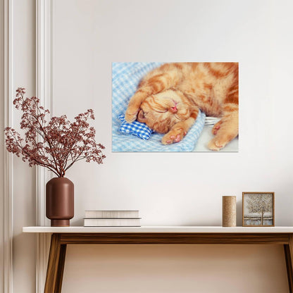 Sleeping Orange Cat | Cozy Pet Photography Poster | Cute Animal Wall Art - Photography Poster