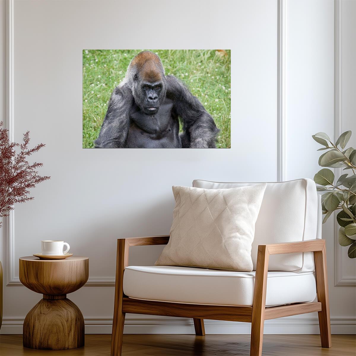 Gorilla | Primate Photography | Animal Poster - Photography Poster