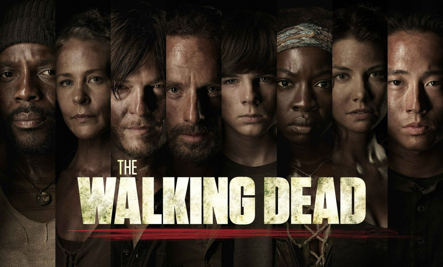 The Walking Dead Survivor Portraits | Horror Drama TV Show Poster | Main Cast Wall Art - Movies & TV Poster