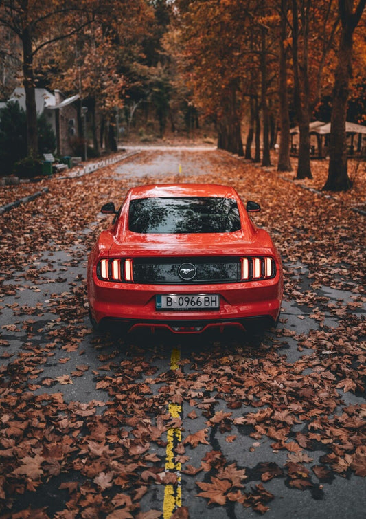 Ford Mustang S550 | Red Muscle Car Poster | American Pony Car in Autumn - Cars Poster