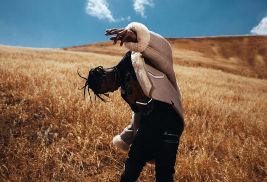 Travis Scott Artistic Photoshoot | Hip Hop Music Poster | Aesthetic Rap Wall Art - Music Poster