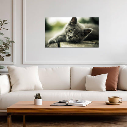 Cat Kitten | Cute Animal Print | Pet Poster - Photography Poster