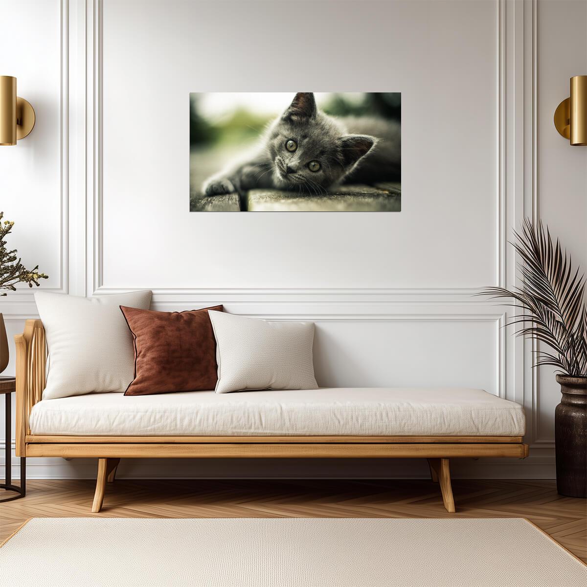 Cat Kitten | Cute Animal Print | Pet Poster - Photography Poster