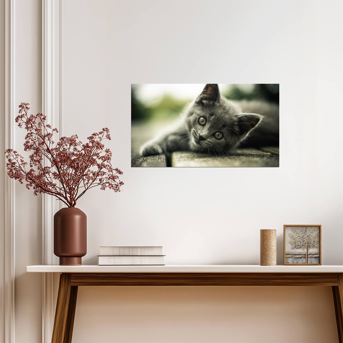 Cat Kitten | Cute Animal Print | Pet Poster - Photography Poster