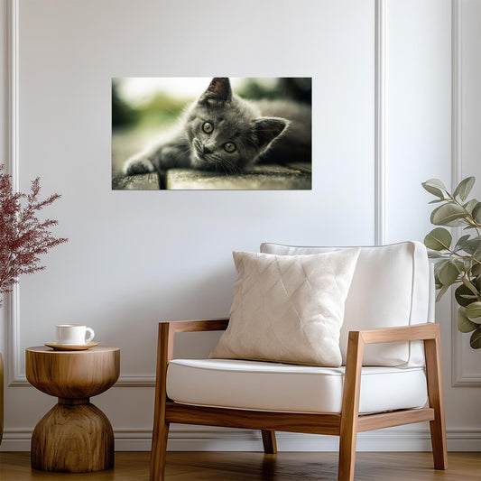 Cat Kitten | Cute Animal Print | Pet Poster - Photography Poster