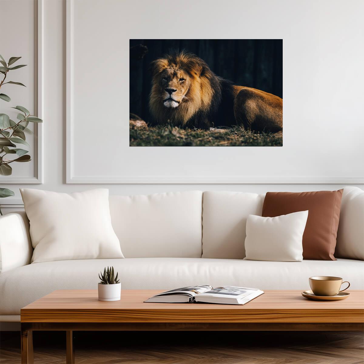 Lion Print | Nature Wildlife Poster - Photography Poster