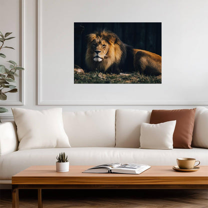 Lion Print | Nature Wildlife Poster - Photography Poster