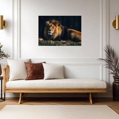 Lion Print | Nature Wildlife Poster - Photography Poster