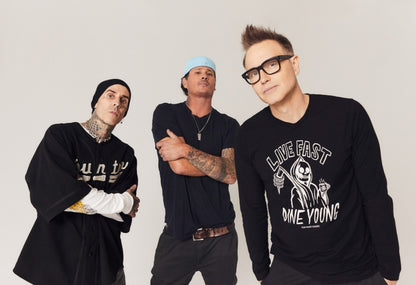 Blink-182 | Rock Trio Art | Music Poster - Music Poster