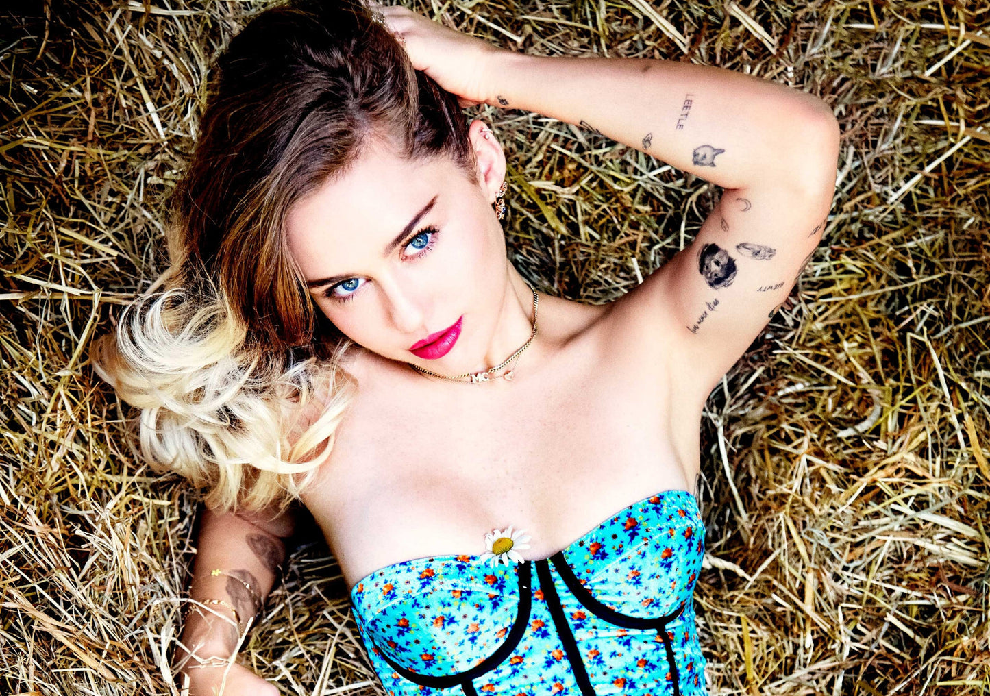 Miley Cyrus Rustic Glam Photoshoot | Vibrant Pop Music Poster | Modern Celebrity Art - Music Poster