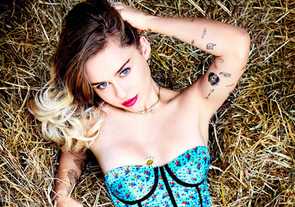 Miley Cyrus Rustic Glam Photoshoot | Vibrant Pop Music Poster | Modern Celebrity Art - Music Poster