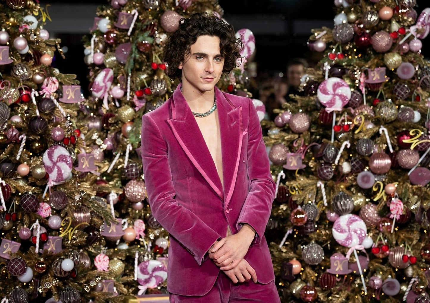 Timothee Chalamet at Wonka Premiere | Red Carpet Fashion Photo | Modern Actor Poster - Celebrities Poster
