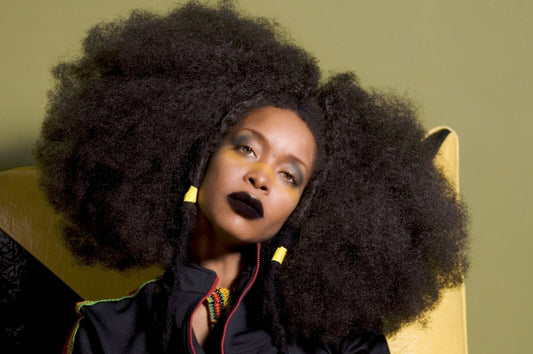 Erykah Badu | R&B Legend | Vintage Art Poster - Music Poster