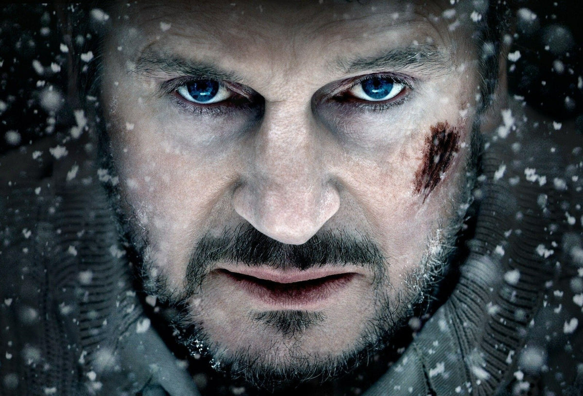 The Grey Poster | Liam Neeson Movie Print - Movies & TV Poster