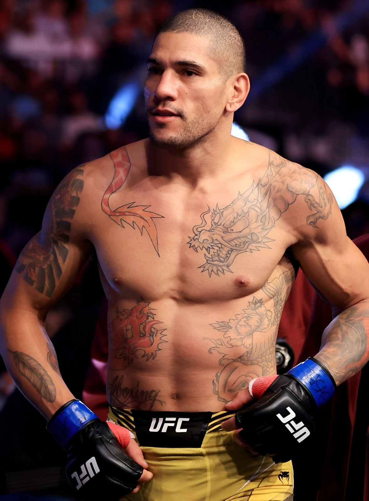 Alex Pereira Walkout | UFC Poster | Poatan Fan Gift - Sports Poster