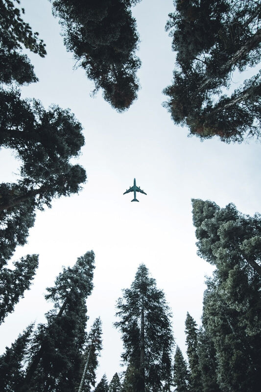 Airplane Flying Over Forest | Looking Up Perspective Poster | Aviation & Nature Photography - Cars Poster