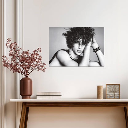 Timothée Chalamet | Black and White Portrait | Actor Wall Art Poster - Celebrities Poster