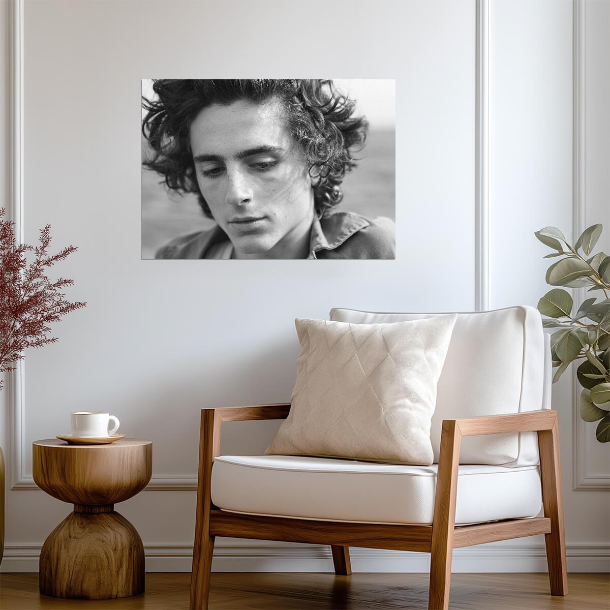 Timothée Chalamet Close Up | Monochrome Photo Print | Celebrity Star Poster - Celebrities Poster