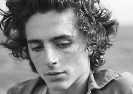Timothée Chalamet Close Up | Monochrome Photo Print | Celebrity Star Poster - Celebrities Poster