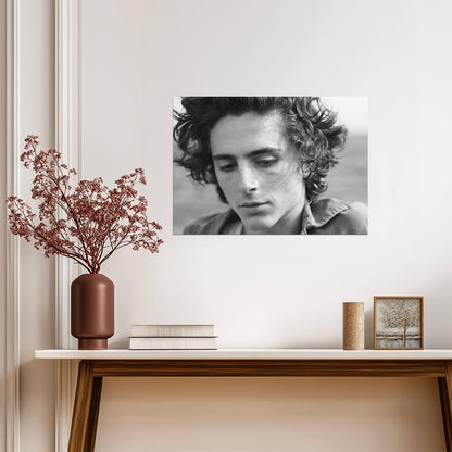 Timothée Chalamet Close Up | Monochrome Photo Print | Celebrity Star Poster - Celebrities Poster