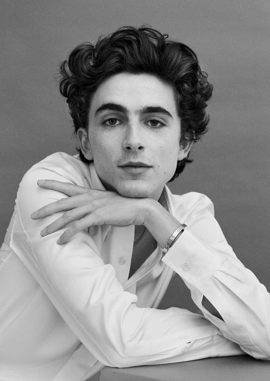 Timothée Chalamet White Shirt | Studio Portrait Photography | Celebrity Fan Gift Poster - Celebrities Poster
