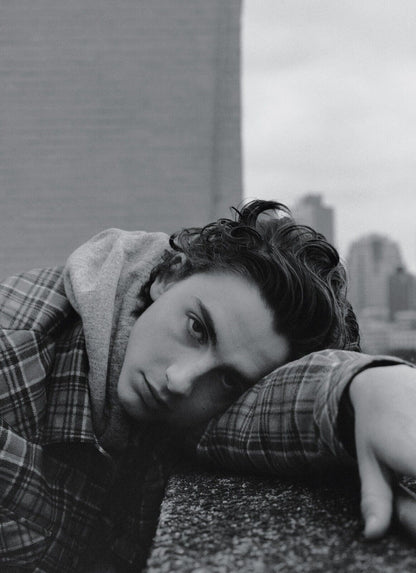 Timothée Chalamet Plaid Shirt | Moody Black and White Portrait | Actor Fan Art Poster - Celebrities Poster