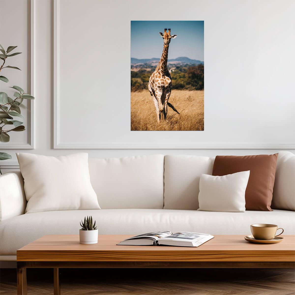 Giraffe | Nature Photography | Zoo Art Poster - Photography Poster