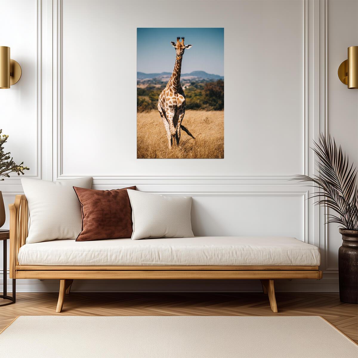 Giraffe | Nature Photography | Zoo Art Poster - Photography Poster