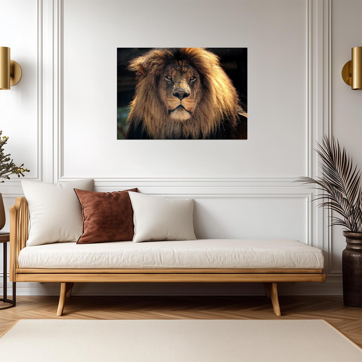 Lion Poster | Animal Wildlife Photo Print - Photography Poster