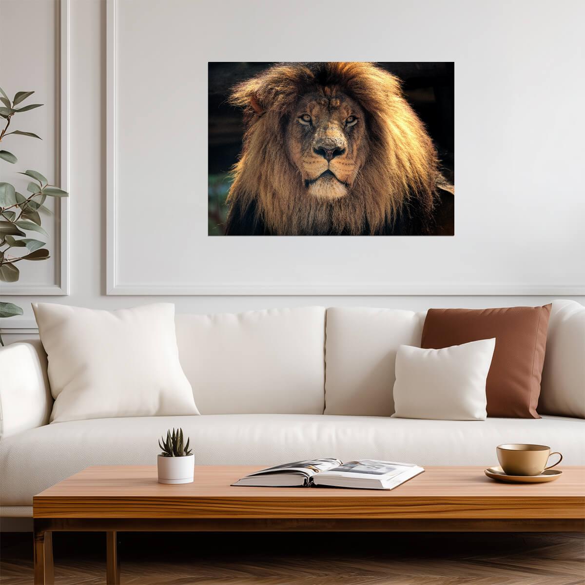 Lion Poster | Animal Wildlife Photo Print - Photography Poster