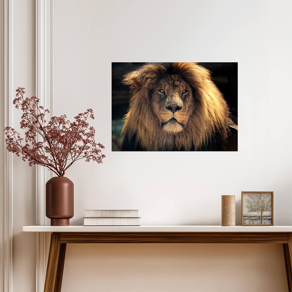 Lion Poster | Animal Wildlife Photo Print - Photography Poster