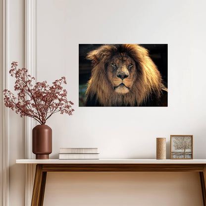 Lion Poster | Animal Wildlife Photo Print - Photography Poster