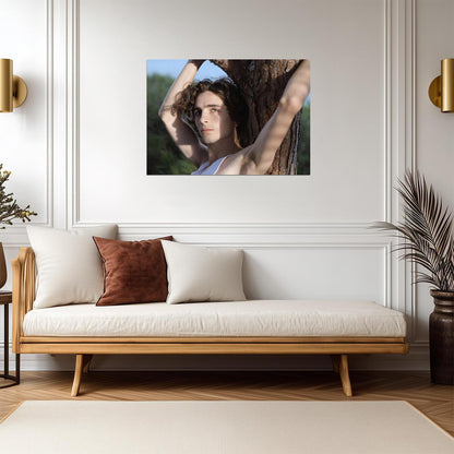 Timothée Chalamet Leaning on Tree | Outdoor Portrait Photo | Celebrity Heartthrob Poster - Celebrities Poster