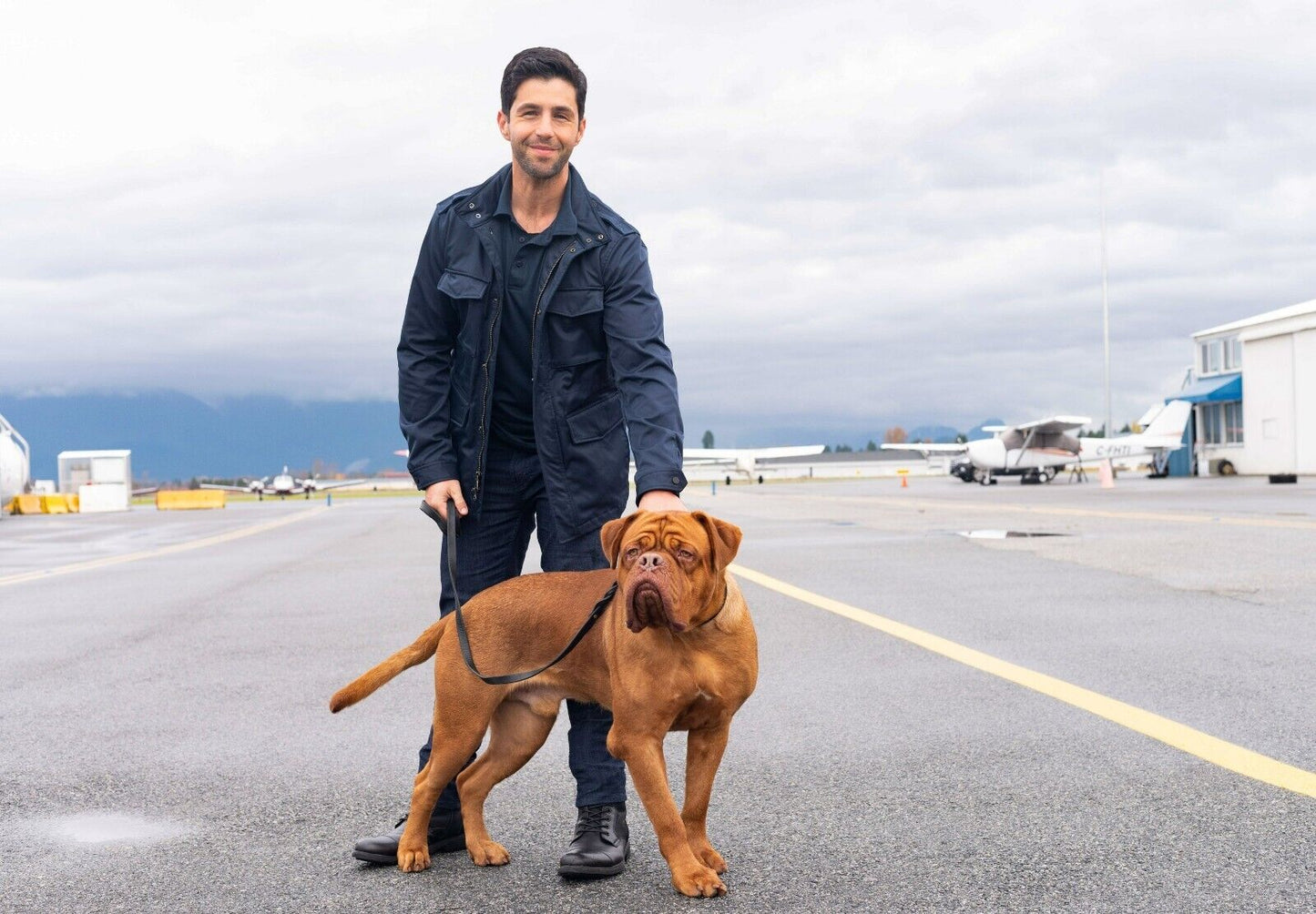 Josh Peck Poster | Turner and Hooch TV Series Dog Print - Movies & TV Poster