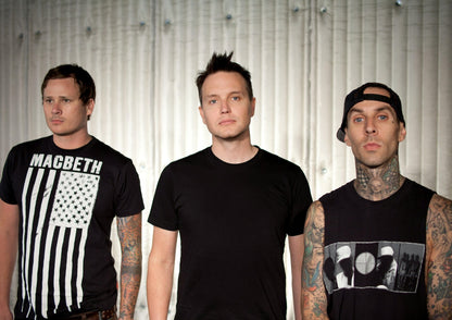 Blink-182 | 2000s Rock Icons | Band Poster - Music Poster