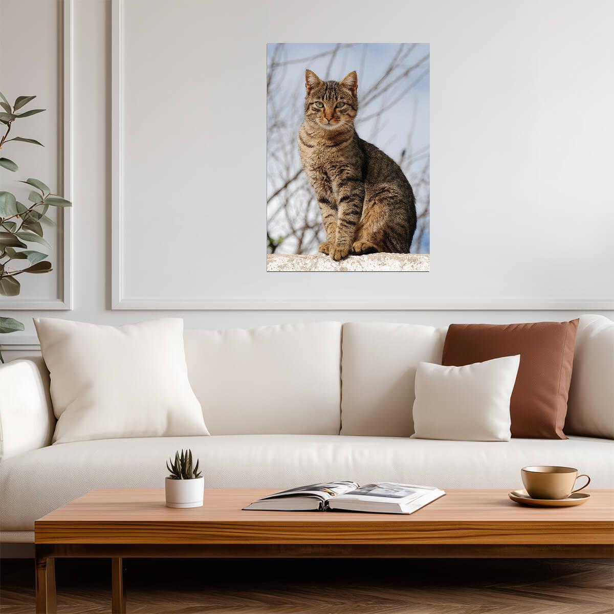 Brown Tabby Cat Sitting on Wall | Pet Photography Poster | Cute Animal Wall Art - Photography Poster