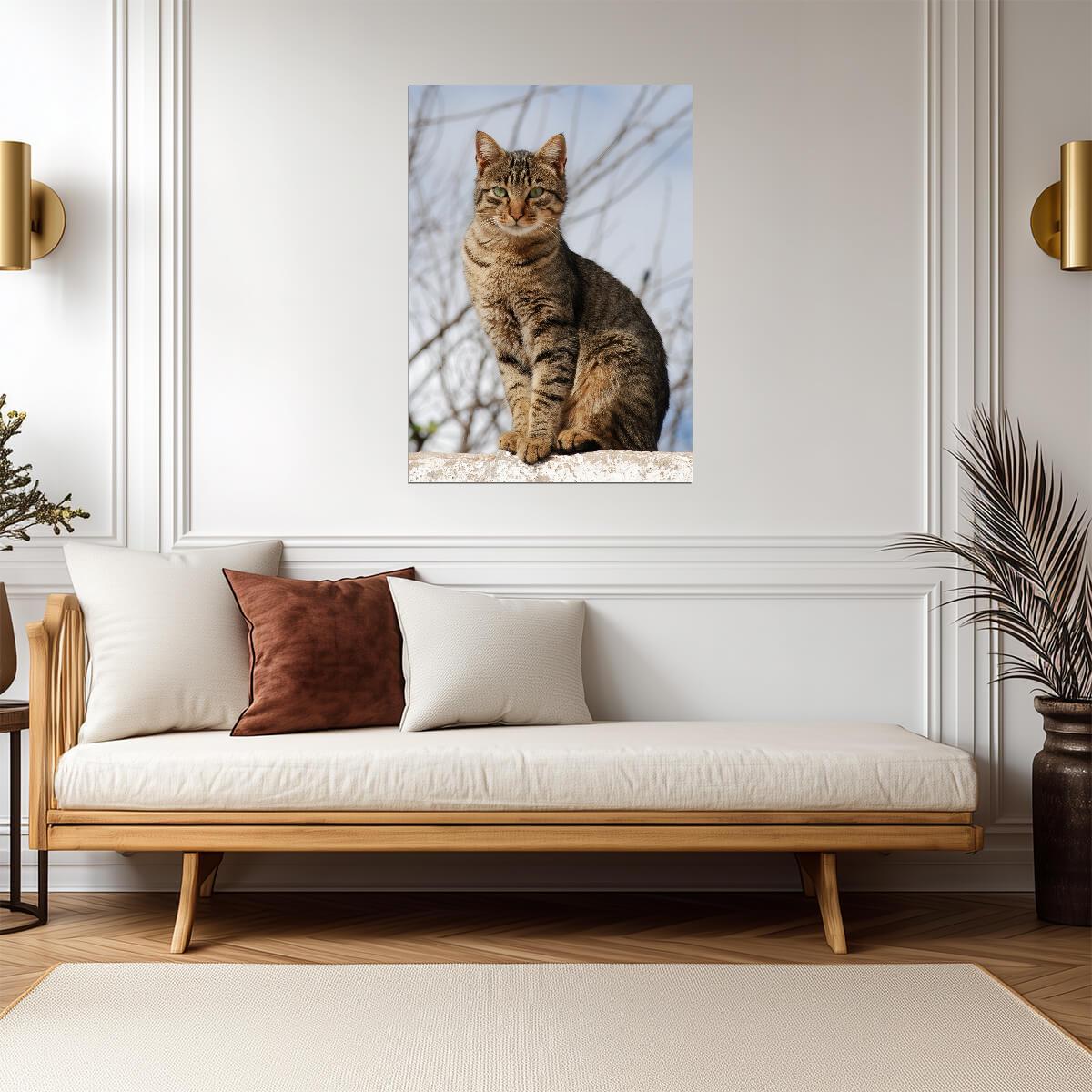 Brown Tabby Cat Sitting on Wall | Pet Photography Poster | Cute Animal Wall Art - Photography Poster