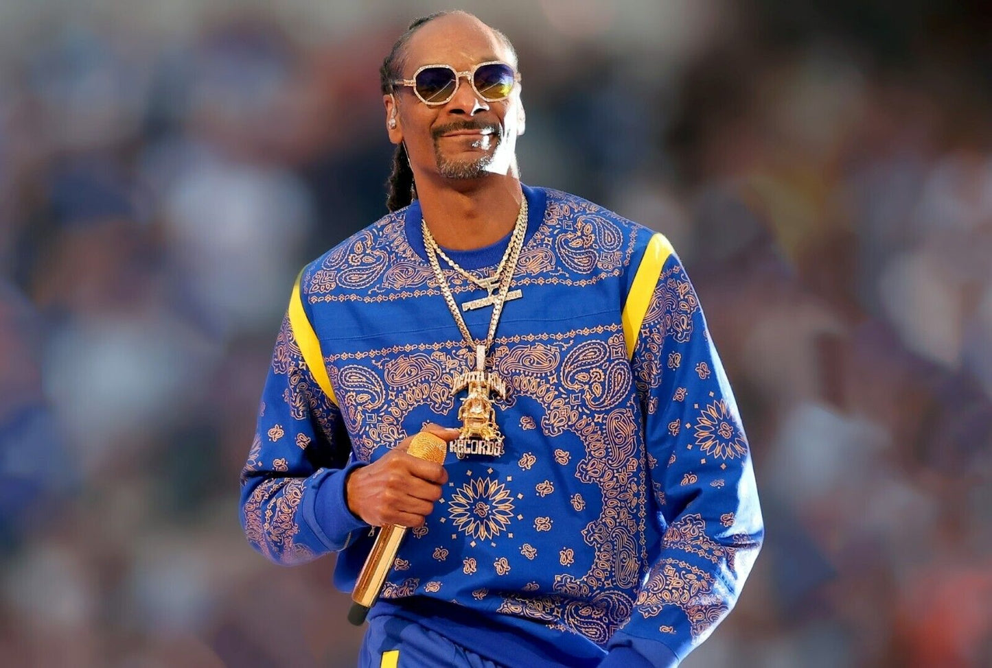 Snoop Dogg Blue Paisley Tracksuit | Live Performance Photo | Rap Concert Poster - Music Poster