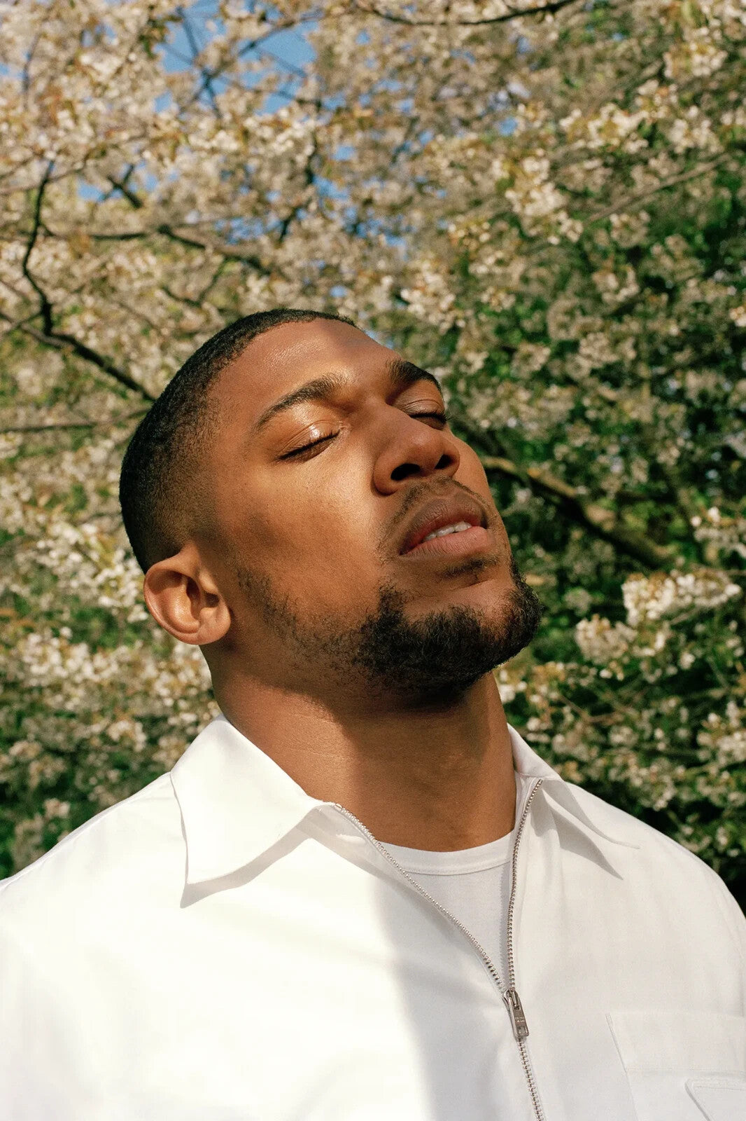 Anthony Joshua Serene Portrait | Boxing Champion Poster | Sports Legend Photography - Sports Poster