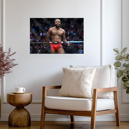 Leon Edwards UFC Champion | Mixed Martial Arts Poster | Combat Sports Legend Wall Art - Sports Poster