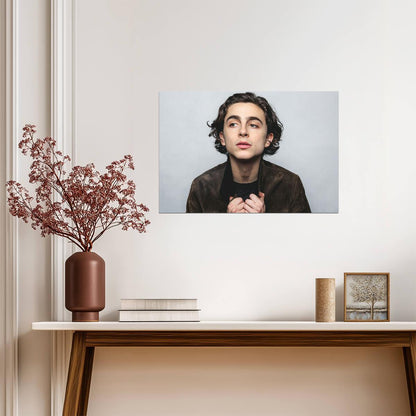 Timothée Chalamet Brown Suede Jacket | Young Actor Portrait | Celebrity Wall Decor Poster - Celebrities Poster