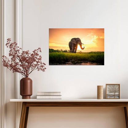 Elephant | Safari Animal Print | Nature Poster - Photography Poster