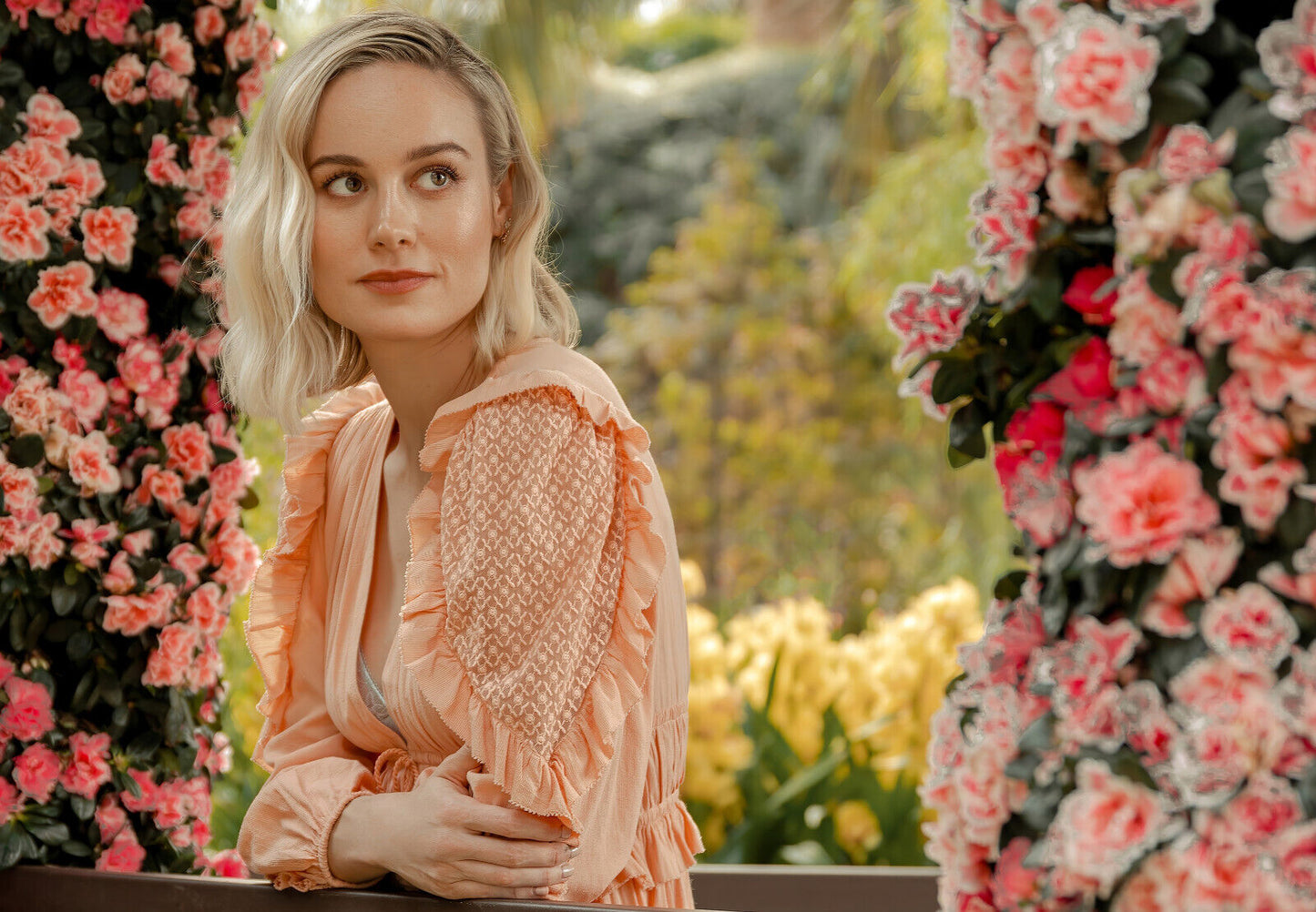 Brie Larson | Celebrity Portrait | Film Icon Poster - Celebrities Poster