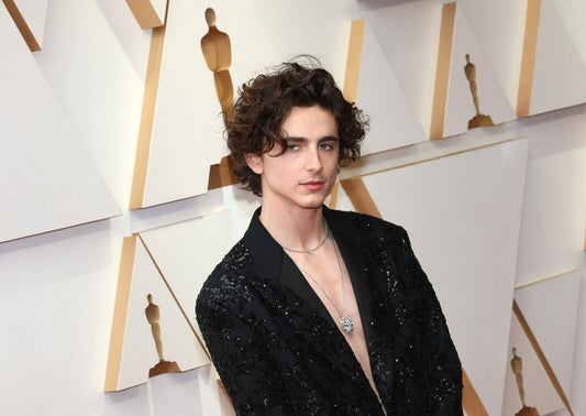 Timothée Chalamet Black Sequin Suit | Oscars Red Carpet Look | Actor Portrait Poster - Celebrities Poster