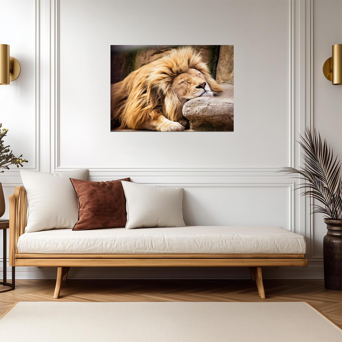Lion Poster | Big Cat Wildlife Print - Photography Poster