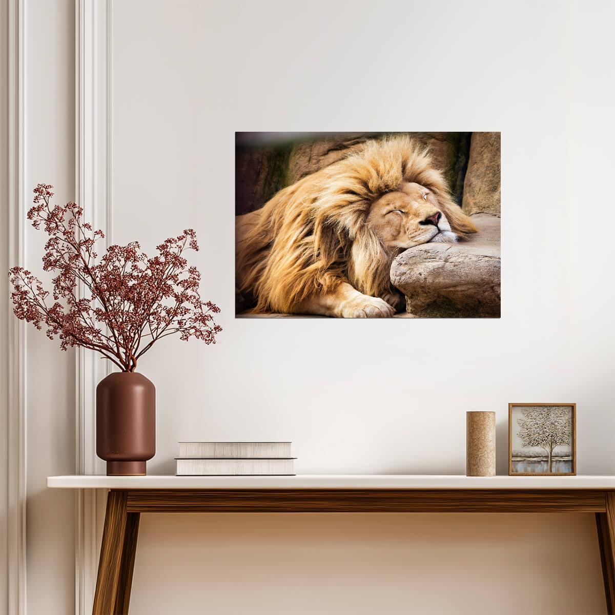 Lion Poster | Big Cat Wildlife Print - Photography Poster