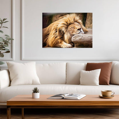 Lion Poster | Big Cat Wildlife Print - Photography Poster